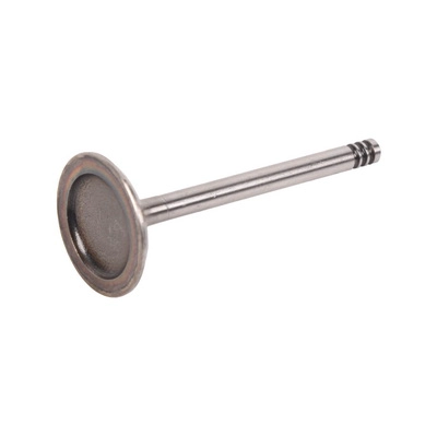 Intake Valve (BF0425670005)