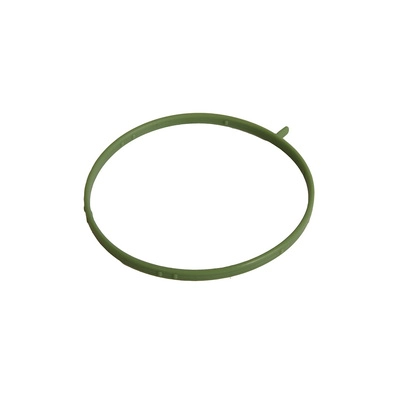 Gasket, throttle body (BF0427150001)