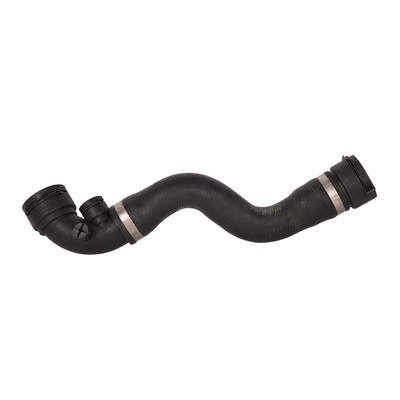Radiator Hose (TOPT1213139)