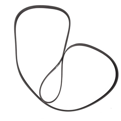 V-Ribbed Belt (BF0427580007)