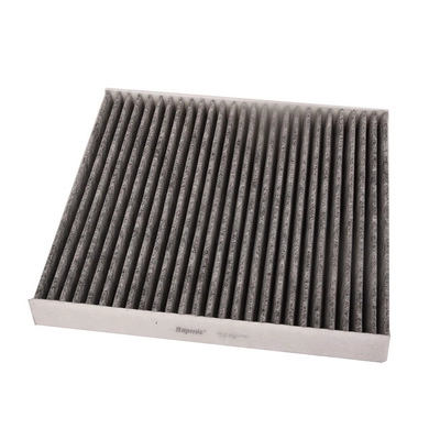 Filter, cabin air (BF0736520021)