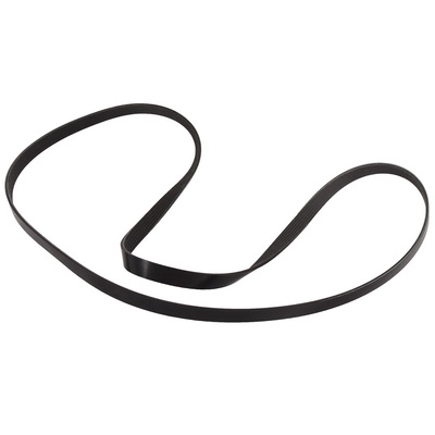V-Ribbed Belt (BF0427580169)