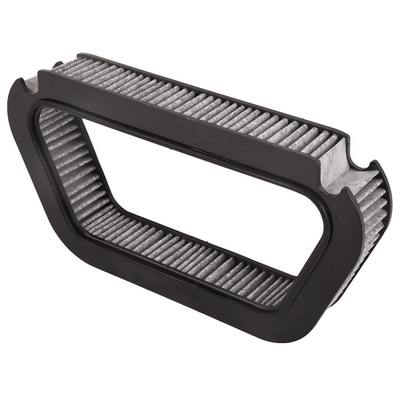 Filter, cabin air (BF0736520048)