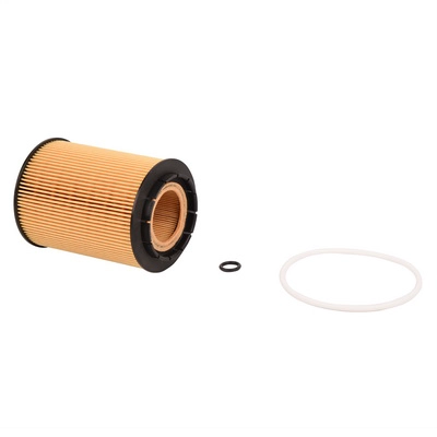 Oil Filter (BF0423450016)