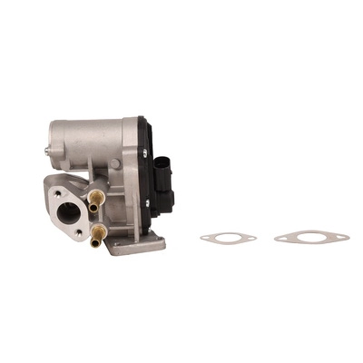 EGR Valve (BF0425810062)