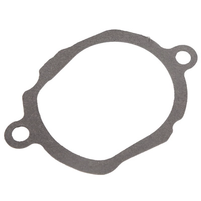 Gasket, thermostat housing (BF0426560001)