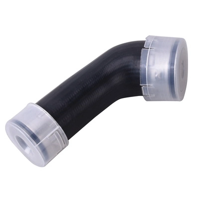 Charge Air Hose (BF0422700171)