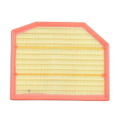 Air Filter (BF0427400006)