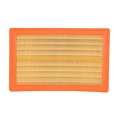 Air Filter (BF0427400101)