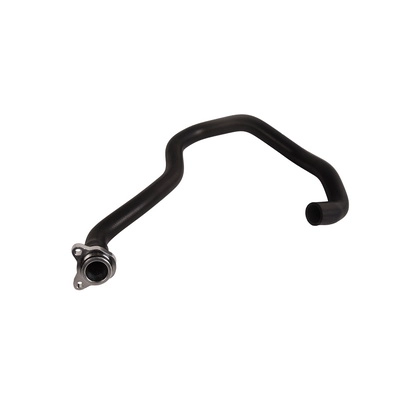 Radiator Hose (BF0426660796)
