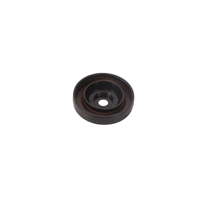 Shaft Seal, camshaft (BF0422970001)