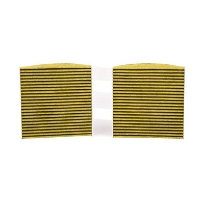 Air Filter (BF0427400056)