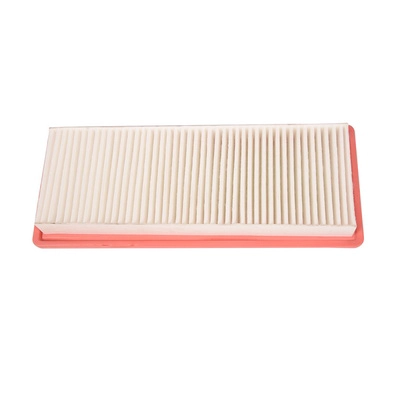 Air Filter (BF0427400105)