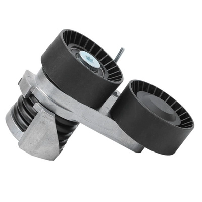 Belt Tensioner, V-ribbed belt (BACB12-234044)
