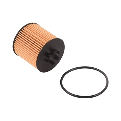 Oil Filter (BF0423470060)