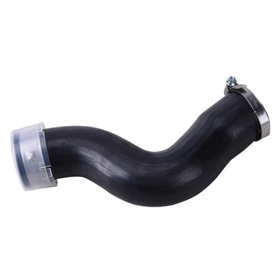 Charge Air Hose (BF0422700099)