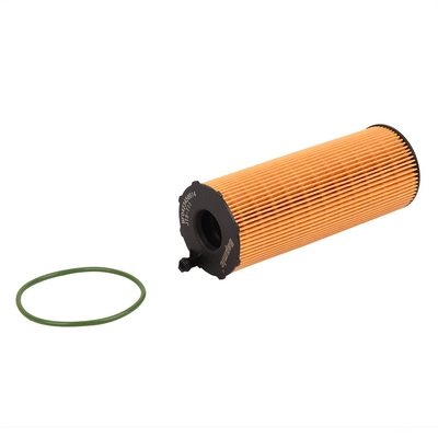 Oil Filter (BF0423450014)