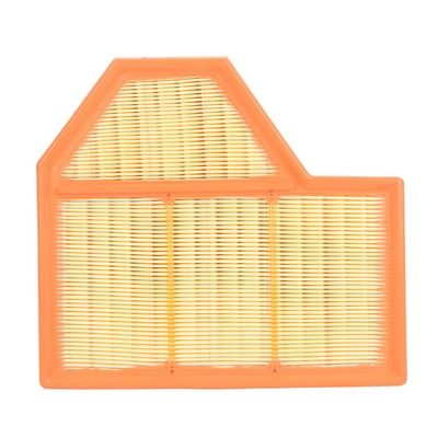 Air Filter (BF0427400029)