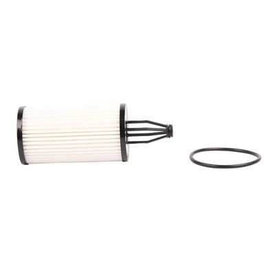 Oil Filter (BF0423450010)
