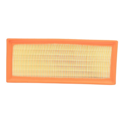 Air Filter (BF0427400095)