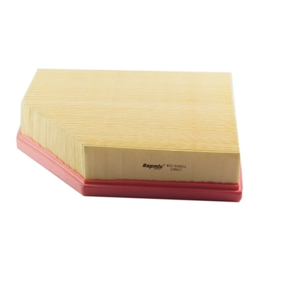 Air Filter (BACB12-939016)