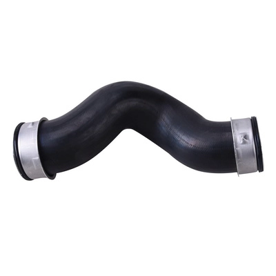 Charge Air Hose (BF0422700173)