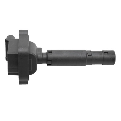 Ignition Coil (BACB11-245025)