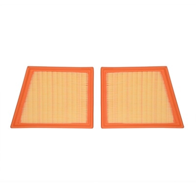 Air Filter (BF0427400086)