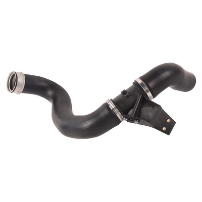 Charge Air Hose (BF0422700366)