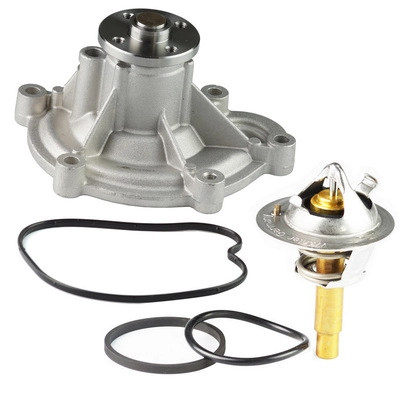 Repair Kit, water pump (TOPT11KIT002)