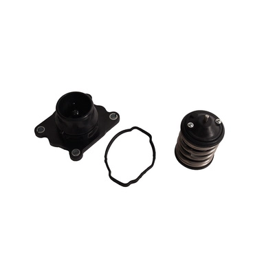 Thermostat, coolant (BF0426520030)