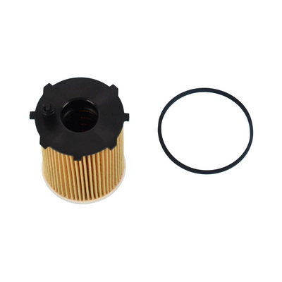 Oil Filter (BF0423450070)