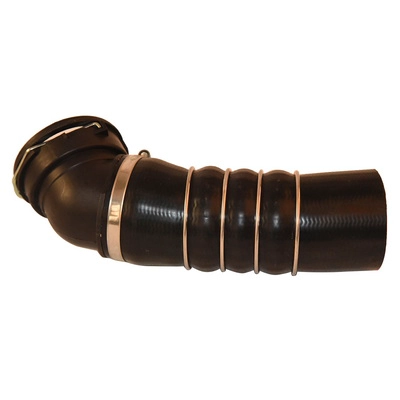 Charge Air Hose (BF0422700339)