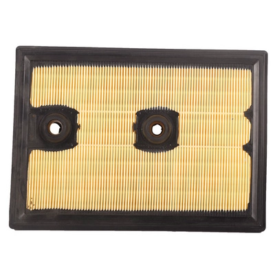 Air Filter (BF0427400127)