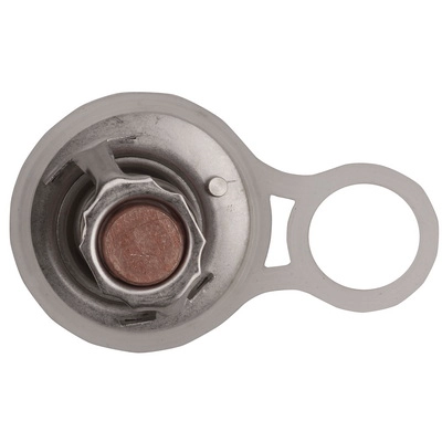 Thermostat, coolant (TOPT1206004)