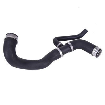 Radiator Hose (TOPT1113052)