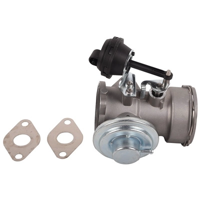 EGR Valve (BF0425810017)