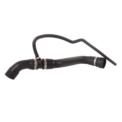Radiator Hose (BF0426820006)