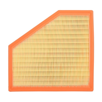 Air Filter (BF0427400024)