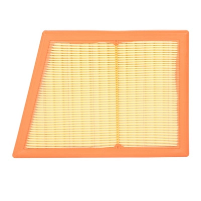 Air Filter (BF0427400013)