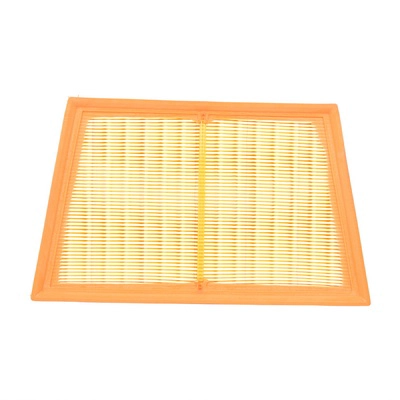 Air Filter (BF0427400088)