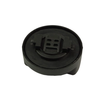 Sealing Cap, oil filler neck (BACB13-220003)