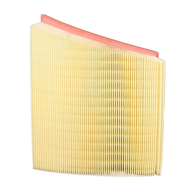 Air Filter (BF0427400087)
