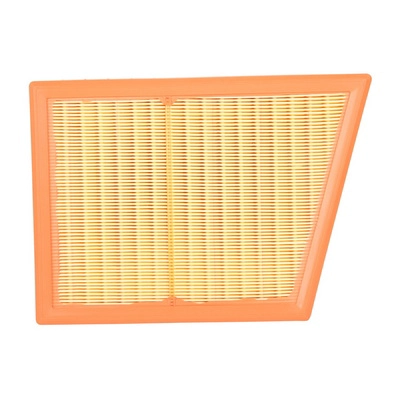 Air Filter (BF0427400020)
