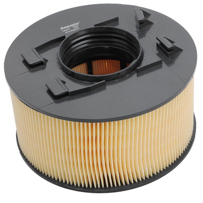Air Filter (BACB12-939012)