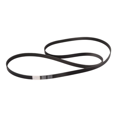 V-Ribbed Belt (BF0436710064)