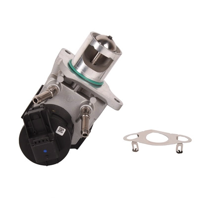 EGR Valve (BF0425810009)