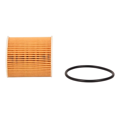 Oil Filter (BF0423450011)