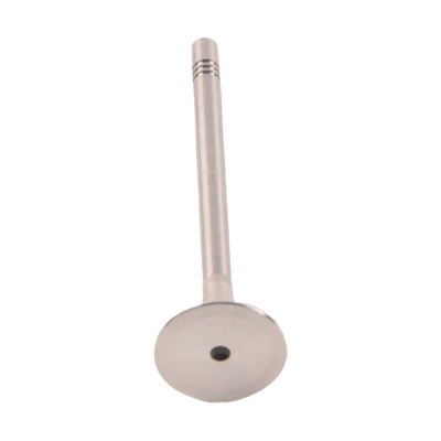 Exhaust Valve (BF0425680002)