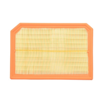 Air Filter (BF0427400047)